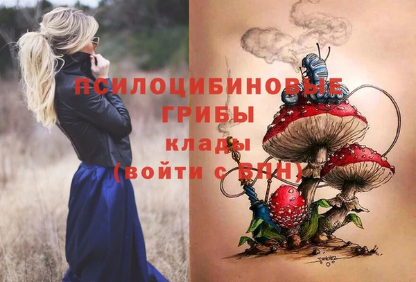 спиды Алексеевка