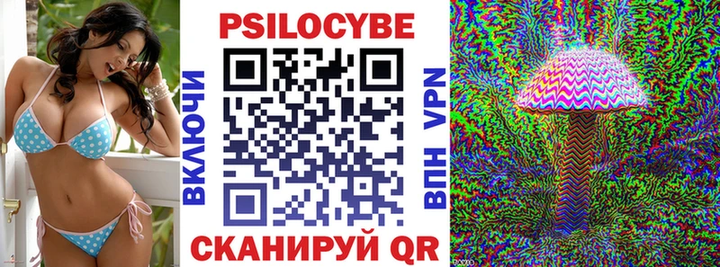 цена наркотик  Ядрин  Псилоцибиновые грибы мицелий 